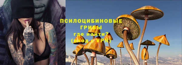 соль ск Новодвинск