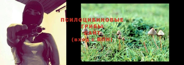 прущие крисы Новозыбков