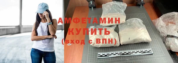 прущие крисы Новозыбков