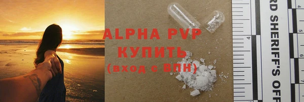 соль ск Новодвинск