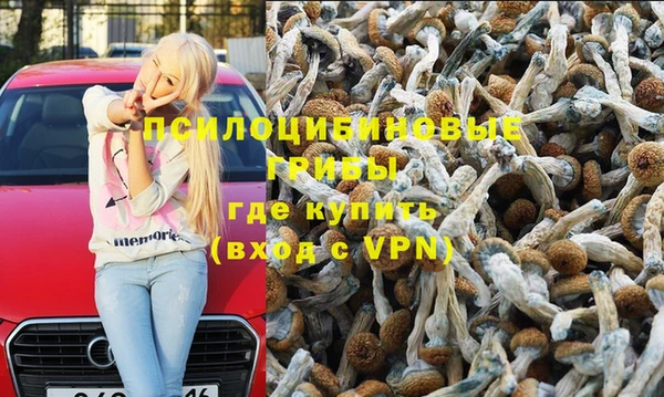 прущие крисы Новозыбков