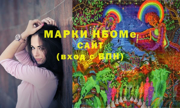 соль ск Новодвинск