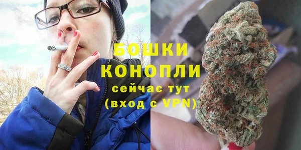 прущие крисы Новозыбков