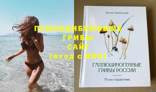 прущие крисы Новозыбков