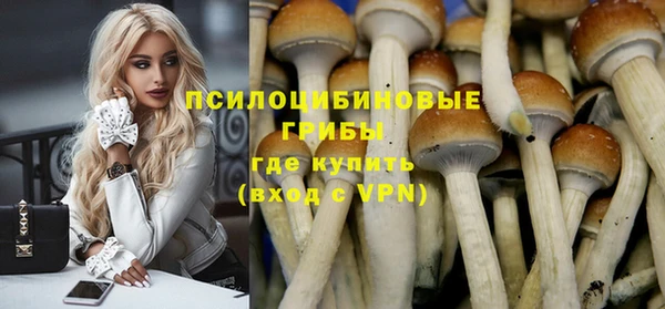 прущие крисы Новозыбков