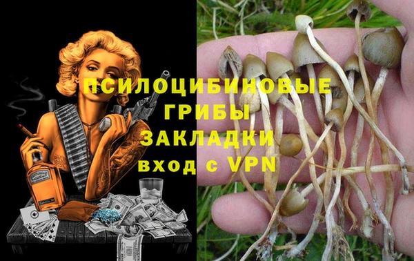 соль ск Новодвинск