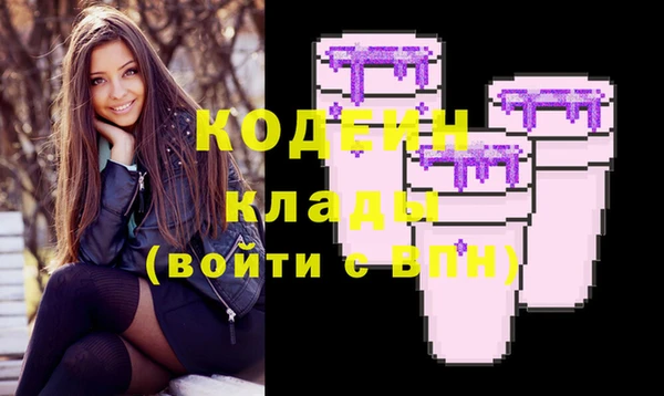 соль ск Новодвинск