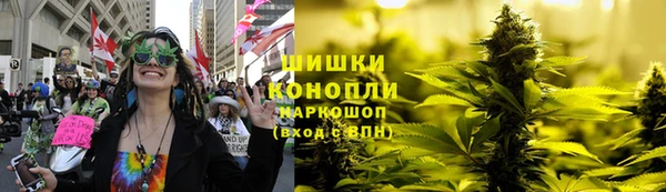 соль ск Новодвинск