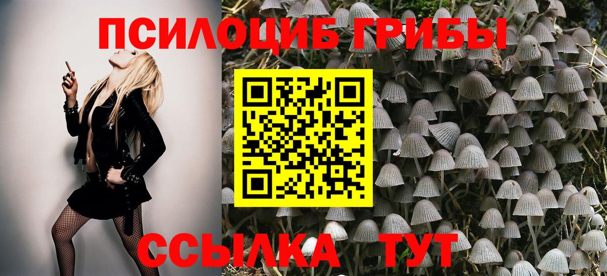 Псилоцибиновые грибы Psilocybe Грозный