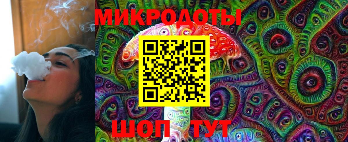 Псилоцибиновые грибы Cubensis  Грозный 