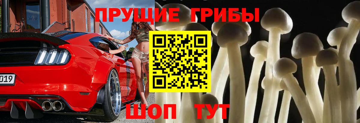Грозный  Псилоцибиновые грибы мухоморы  Вход с VPN 
